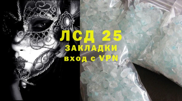 ГАЛЛЮЦИНОГЕННЫЕ ГРИБЫ Покачи