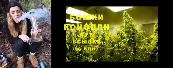 PSILOCYBIN Протвино