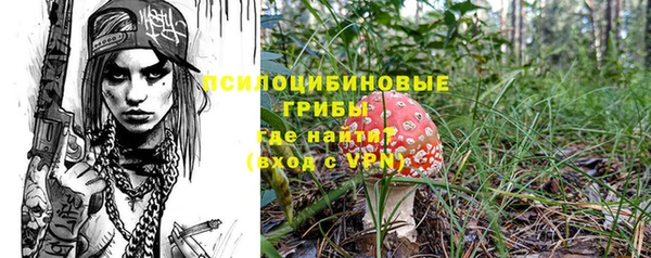 ГАЛЛЮЦИНОГЕННЫЕ ГРИБЫ Покачи