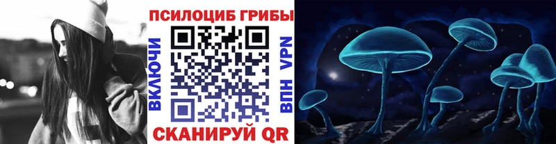 Псилоцибиновые грибы мицелий купить сайты hydra сайт Владикавказ