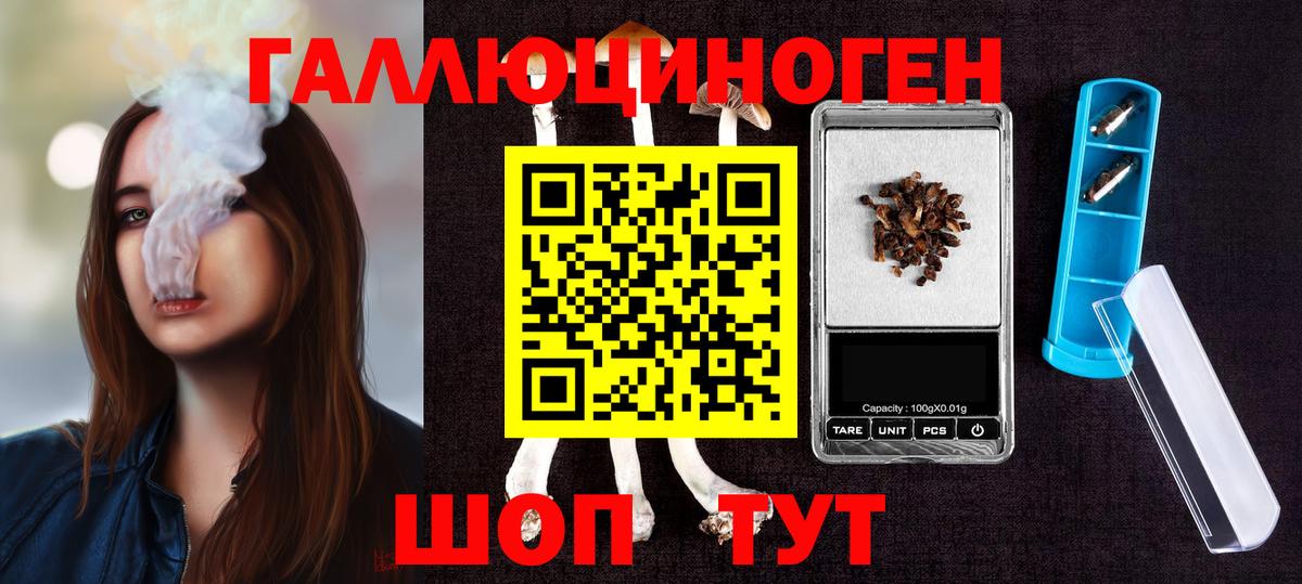 Псилоцибиновые грибы Psilocybe Владикавказ